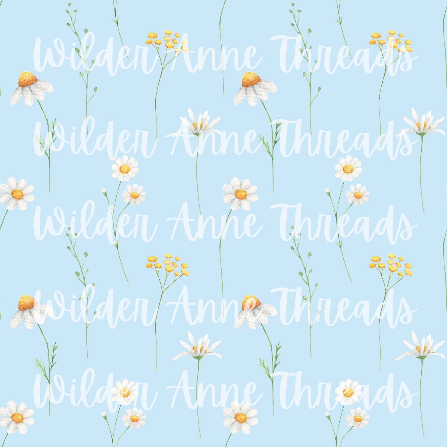 Daisy on Blue