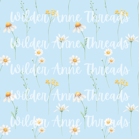 Daisy on Blue